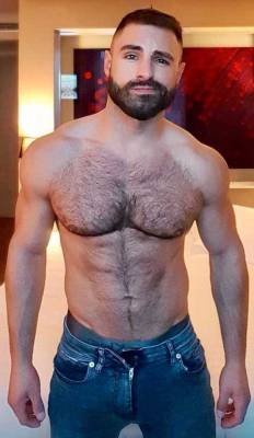 Sexy Beefy Hairy Men