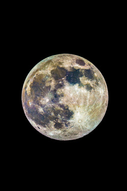 brazenbvll:  Supermoon 2013 : (Sean Parker) 