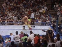 wrestlingchampions:  Ultimate Warrior d. Rick Rude (w/Bobby Heenan)