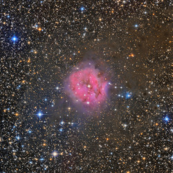 spacettf:  IC 5146: The Cocoon Nebula ver.2 by Oleg Bryzgalov