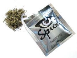 vicemag:  Floridians Are Losing Their Minds on Synthetic Cannabis