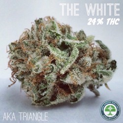 fresh-fortune-cookies:At 24% #thc its potency is the only thing