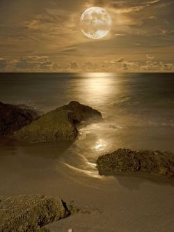 maya47000:  Orange full moon by Daniela Gross  Escape…