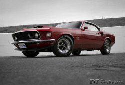 vehicles36:  1969 Ford Mustang Boss 429 