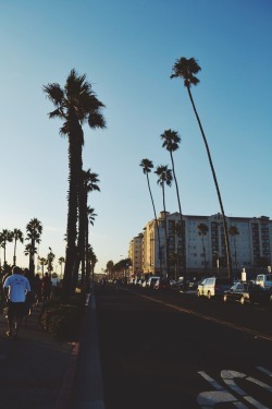 sassafranski:  Oceanside