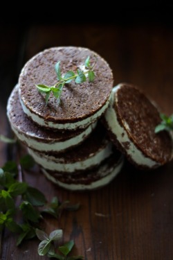 delta-breezes:  Mint Chocolate Chip Ice Cream Sandwiches | This