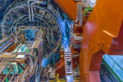 scalesofperception:  CERN | Anna Pantelia CERN is the European