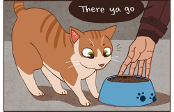 16ruedelaverrerie:  But what if the stray cat Gavin feeds in