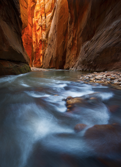 rorschachx:  The Virgin River Narrows, Zion National Park, Utah