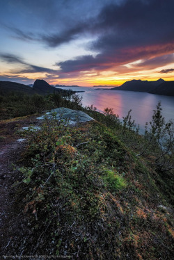 magicalnaturetour:  Aunfjellet by Stian Klo