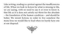 bookmania:  from In Praise of Reading and Fiction by Mario