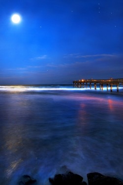 robert-dcosta:  Jan Beach Moon And Orion | RD