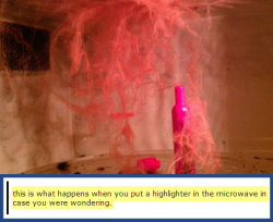 srsfunny:  What happens when you put a highlighter in the microwave…http://srsfunny.tumblr.com/