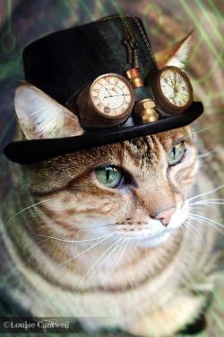 steampunktendencies:  Steampunk Cats by Louise Cantwell  