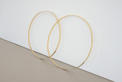 pop-up-x:   Dane Mitchell - Hypnosis Venn, 2013 1070 x 1900 mm