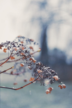 hellanne:  #5 (by ~ Maria ~) 