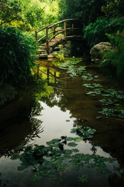 d-vn:  footbridge in the garden (by Sam Scholes) 