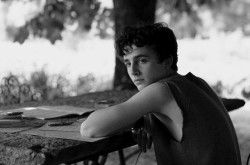 genterie:  Timothée Chalamet in Call Me By Your Name (2018)edit