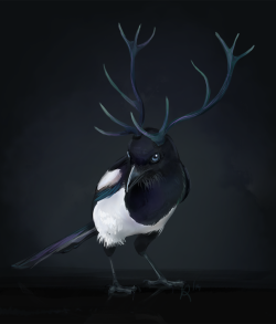 artsjart:  2/25: Common Magpie with Red Deer antlers day two!!