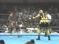 wrestlingchampions:  Champion vs. Champion: The Steiner Brothers