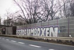 antifastreetart:  PEGIDA UMBOXEN!