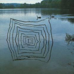 octopusgirl:  Sticks and stalks pushed into muddy lake bottom,