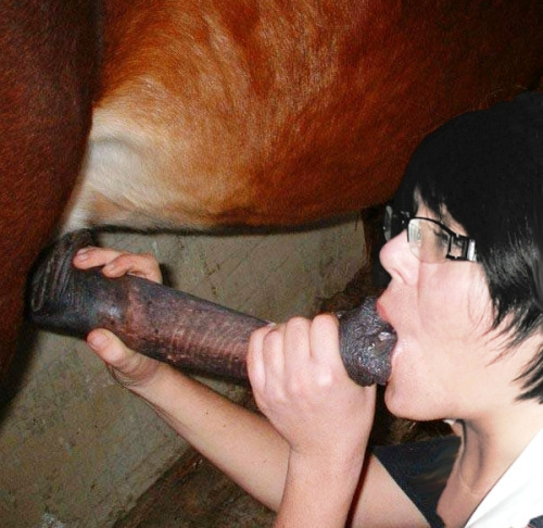 bangingoodtimeporn: More animal sex pics here http://bangingoodtimeporn. tumblr.com/ Tumblr Porn