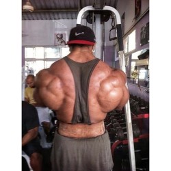 Roelly Winklaar