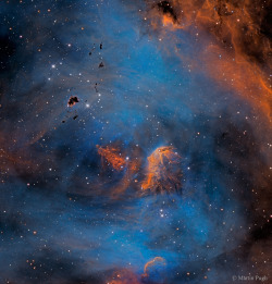 fyeahastropics:  Stars and Globules in the Running Chicken Nebula(via