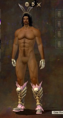 syberfag:  This item preview glitch in gw2 is the funniest shit