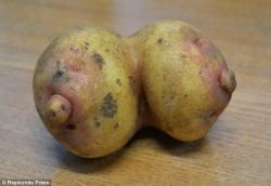 I knew i was potato shaped! 😂😂😂