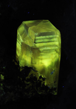 ifuckingloveminerals:  Phosgenite(312nm) Monteponi Mine, Iglesias,