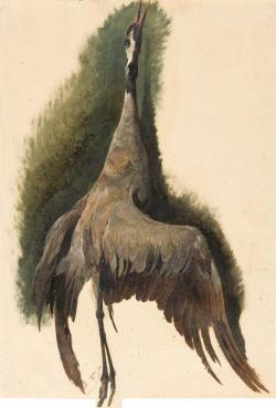 thatsbutterbaby: Friedrich Gauermann, Kranich.  Oil on brownish