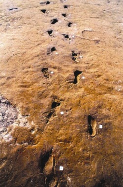Prehistoric footprints of Bronze Age people escaping from the