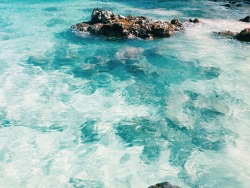 p-u-e-r-t-o:  f-i-j-i:  ocean blog  ocean blog here