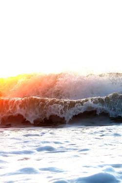 plasmatics-life:  { Sunset } x Decompre SEAN   x