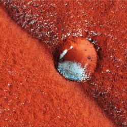 gardenerchance: cosmicdustpw:   Small crater on an accurate ridge