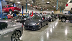 we just got a new shipment of Maserati’s in