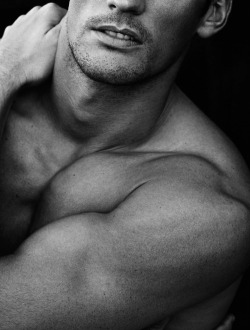 hi there, mr. gandy. i see you trying to be all…yeah