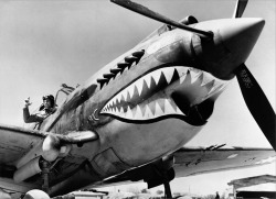 peerintothepast:  Curtiss P-40 Warhawk Shark Mouth #WWII #History