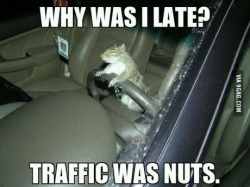 9gag:  Traffic was nuts 