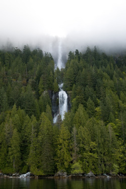 touchdisky:  Waterfall from the mist  Feet wet