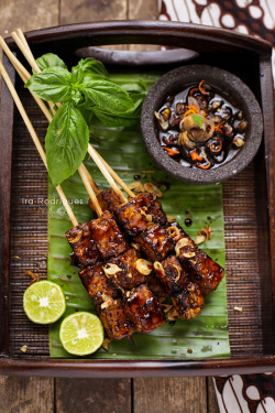 in-my-mouth:  Sate Tempe