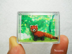 fuckyeahtlokfanarts:  pabloeinstein:  Micro red panda made of