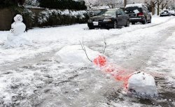 Pedestrian down on Snowflake Lane