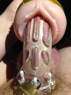 chastityrocks:  I promised you that your cock would get pussy,