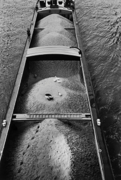 mpdrolet:  L’Arche de Noé, Paris, 1976 Jean-Philippe Charbonnier