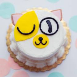 Cake the Cat, the cake!!! Happy #NationalCatDay! 