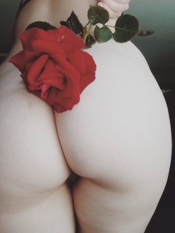 sexsvmbol:  b-cca submitted:🌹Oh, this is absolutely gorgeous!