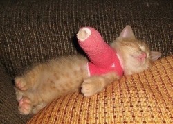 awwww-cute:  Broken arm